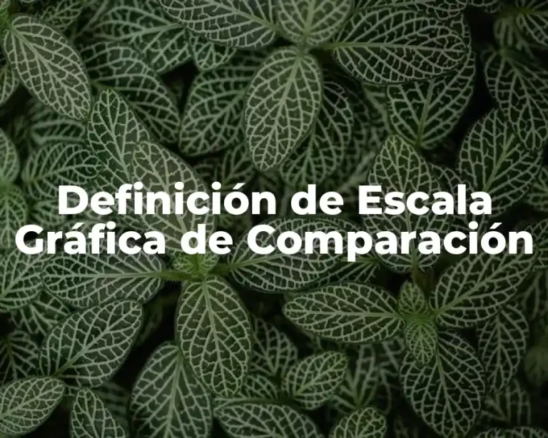 Definición de Escala Gráfica de Comparación