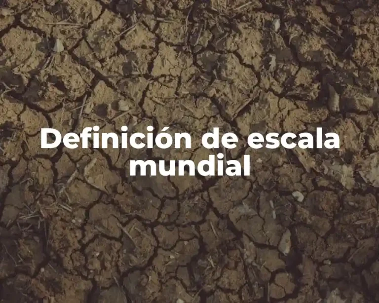 Definición de escala mundial