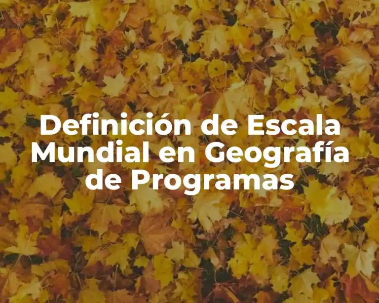Definición de Escala Mundial en Geografía de Programas