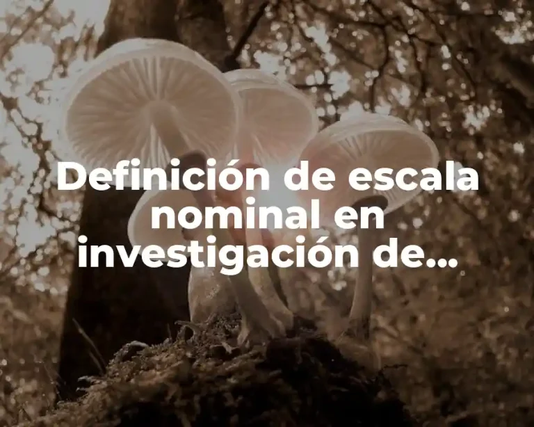 Definición de escala nominal en investigación de mercados