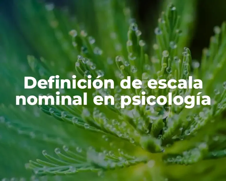 Definición de escala nominal en psicología