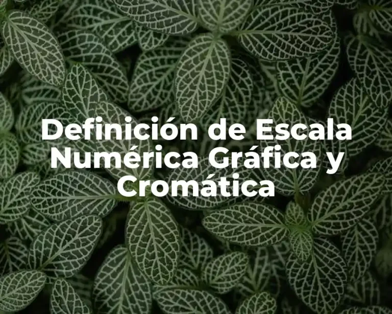 Definición de Escala Numérica Gráfica y Cromática