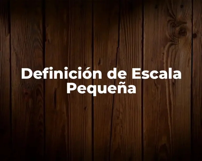 Definición de Escala Pequeña