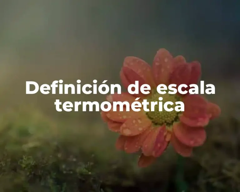 Definición de escala termométrica
