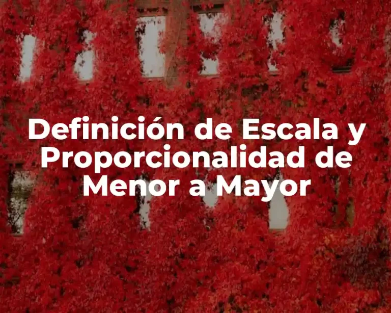 Definición de Escala y Proporcionalidad de Menor a Mayor