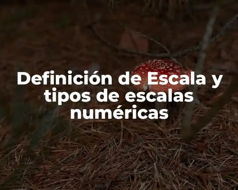 Definición de Escala y tipos de escalas numéricas
