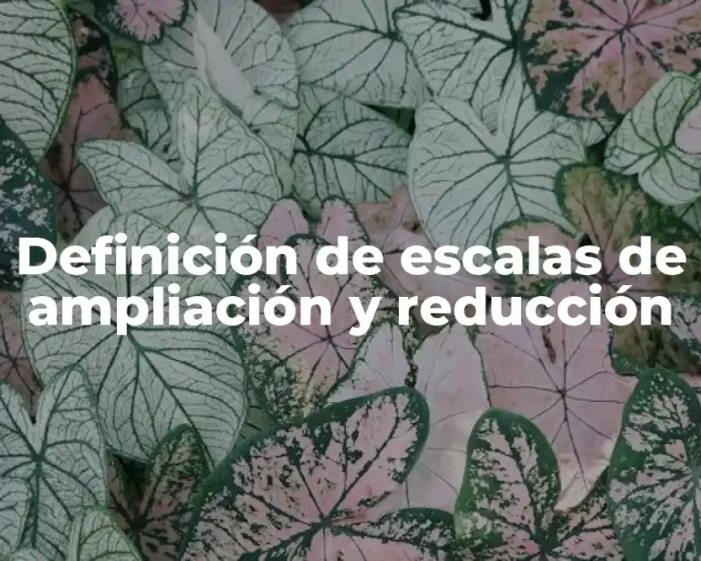 Definición de escalas de ampliación y reducción