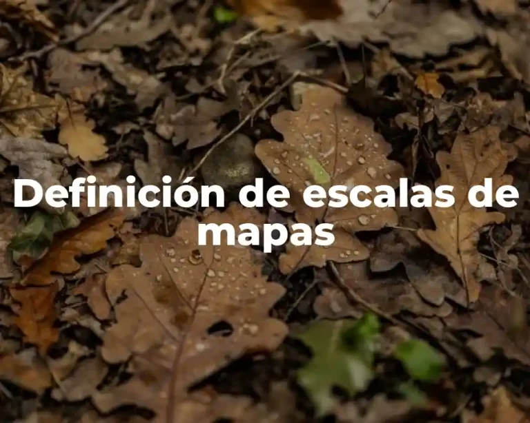 Definición de escalas de mapas