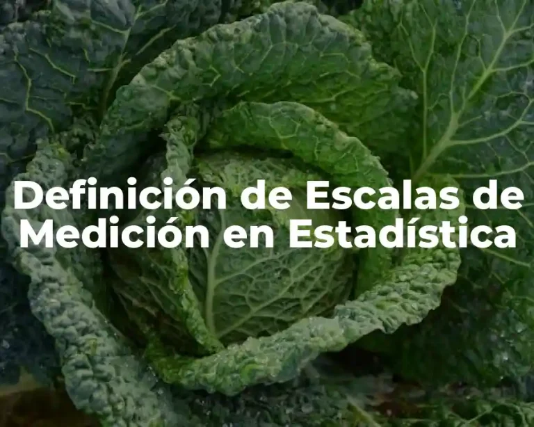 Definición de Escalas de Medición en Estadística