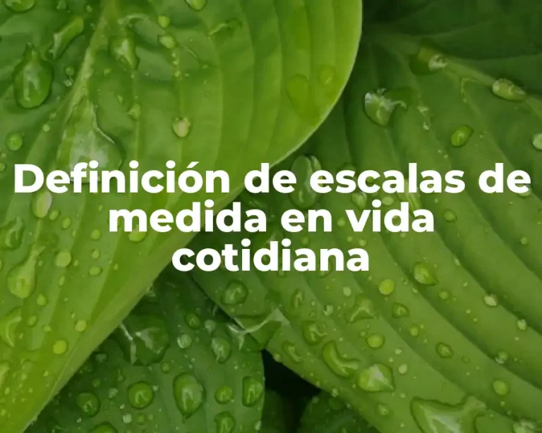 Definición de escalas de medida en vida cotidiana