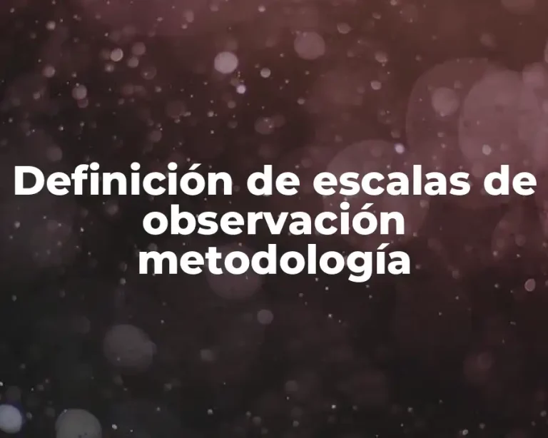 Definición de escalas de observación metodología