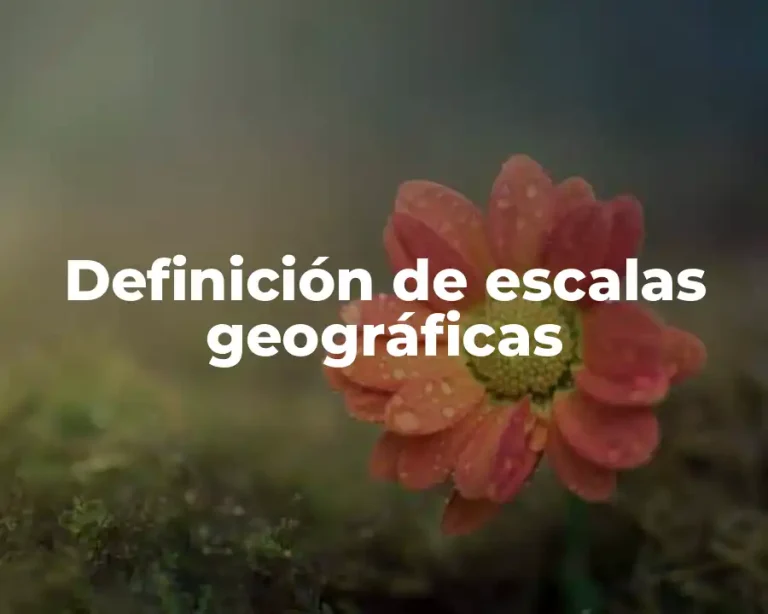 Definición de escalas geográficas