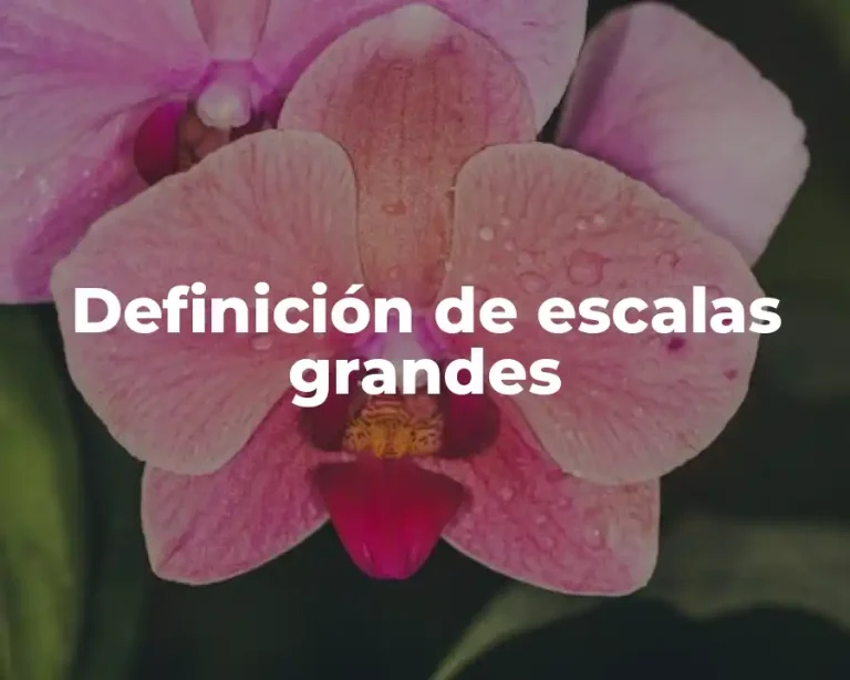 Definición de escalas grandes