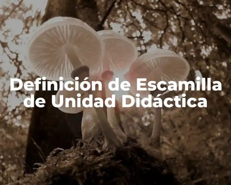 Definición de Escamilla de Unidad Didáctica