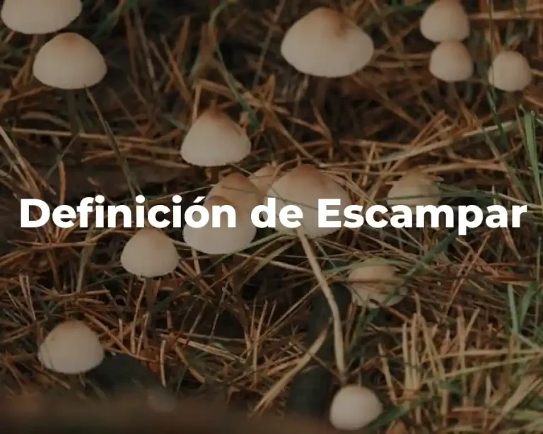 Definición de Escampar