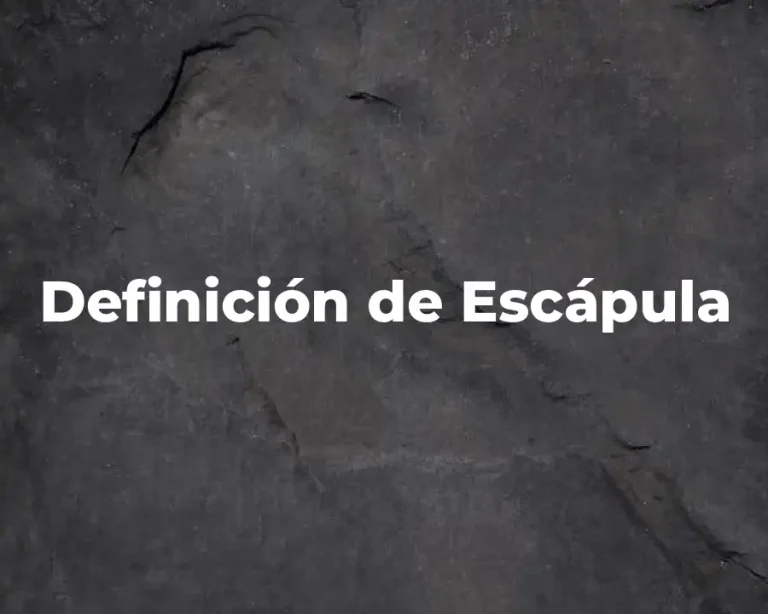 Definición de Escápula