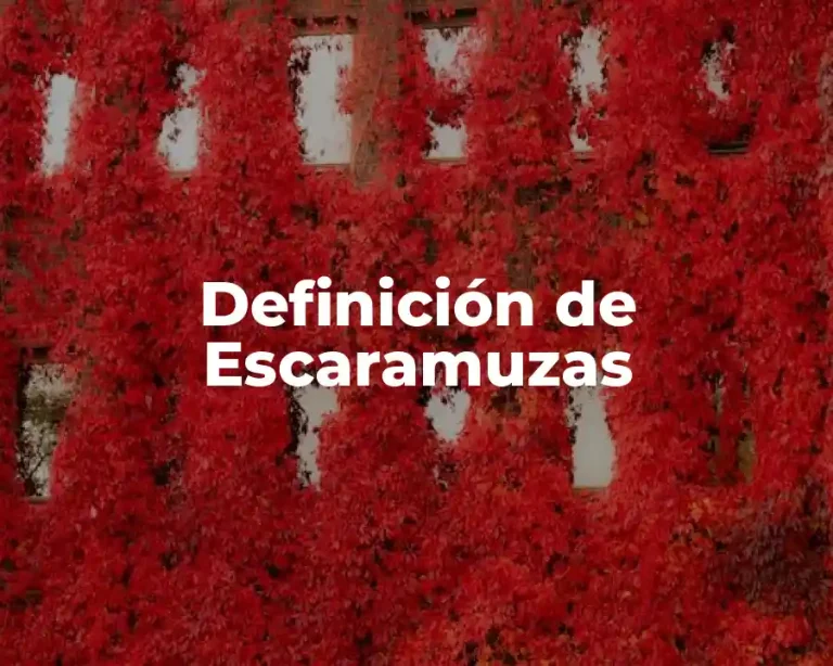 Definición de Escaramuzas