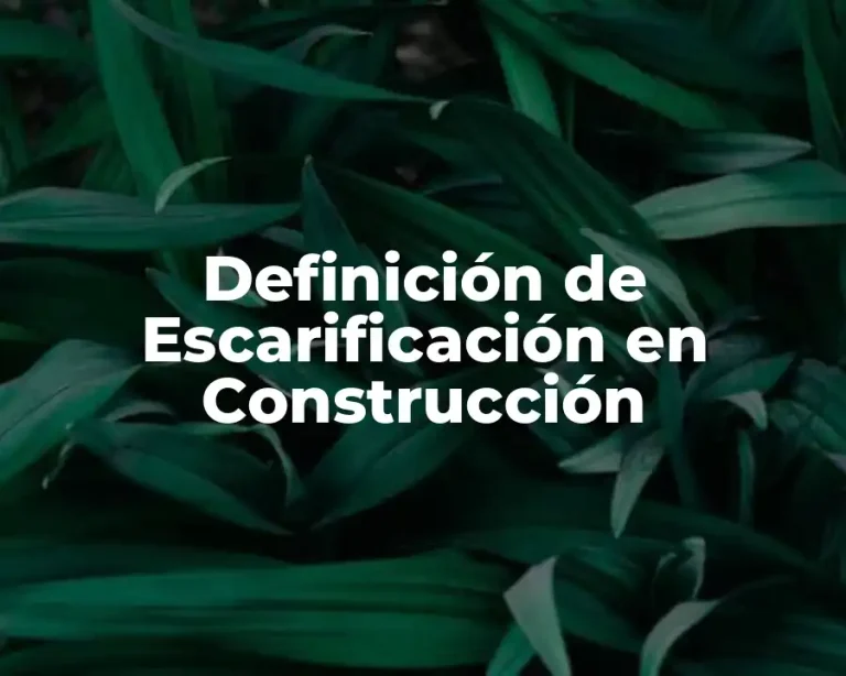 Definición de Escarificación en Construcción