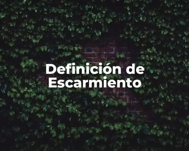 Definición de Escarmiento
