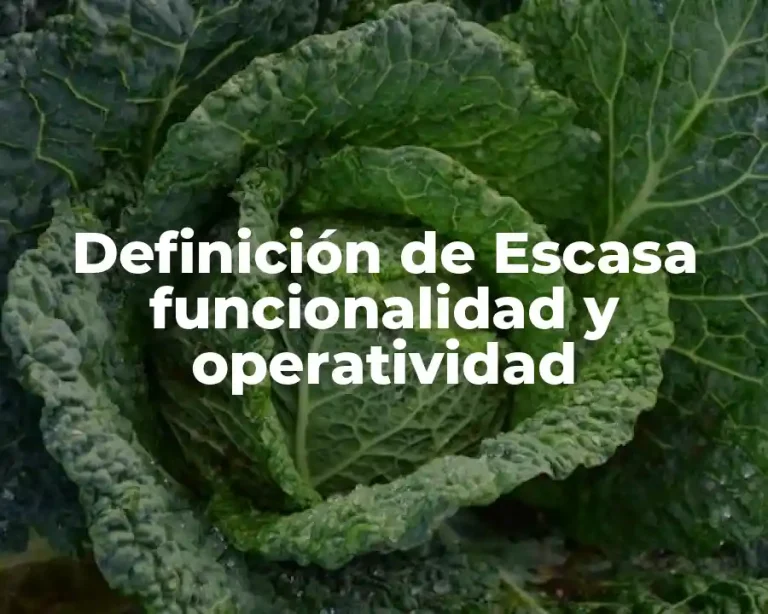 Definición de Escasa funcionalidad y operatividad