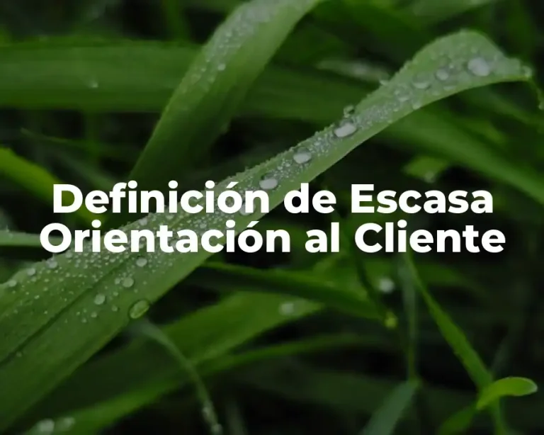 Definición de Escasa Orientación al Cliente