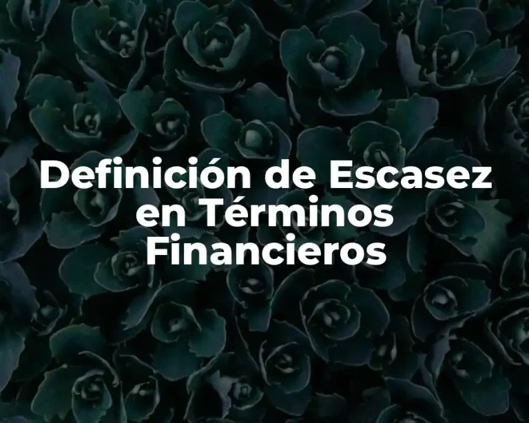 Definición de Escasez en Términos Financieros