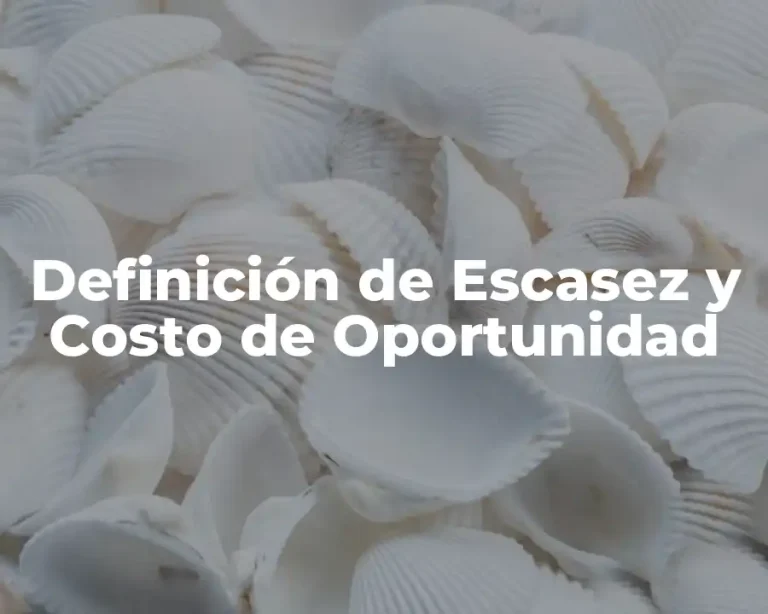 Definición de Escasez y Costo de Oportunidad
