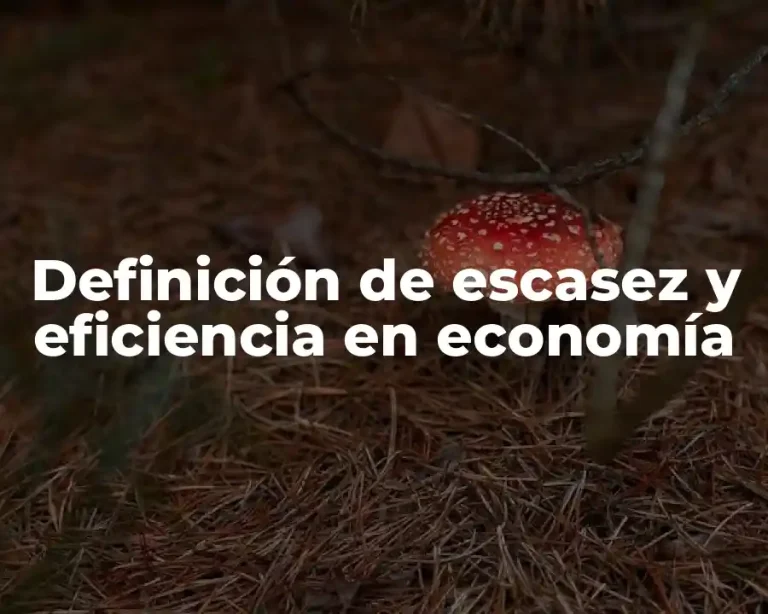 Definición de escasez y eficiencia en economía