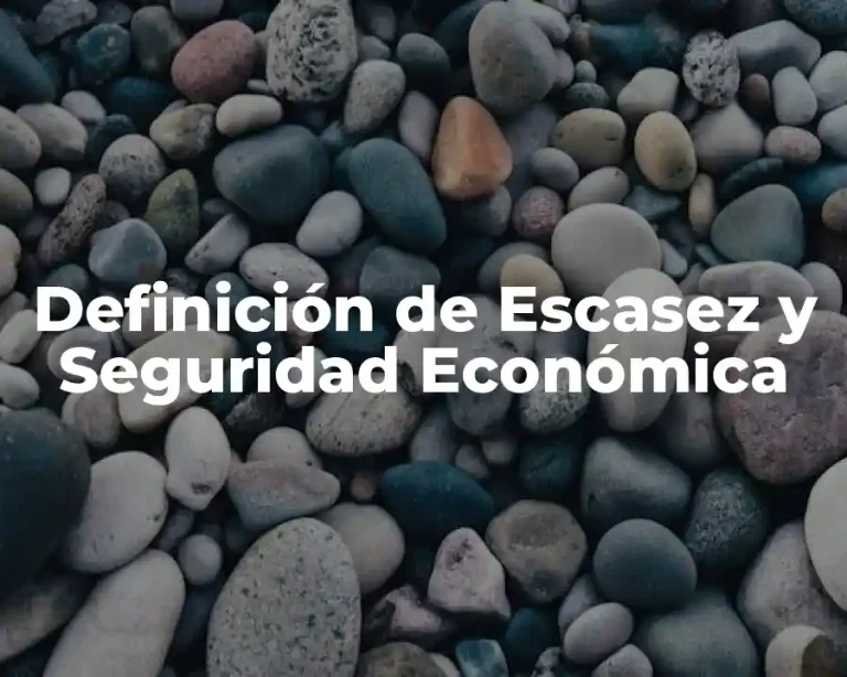 Definición de Escasez y Seguridad Económica