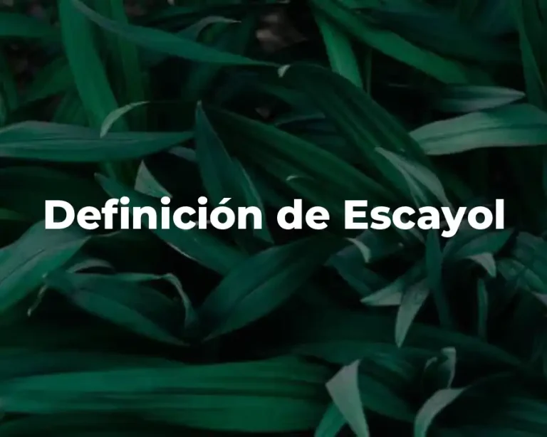 Definición de Escayol