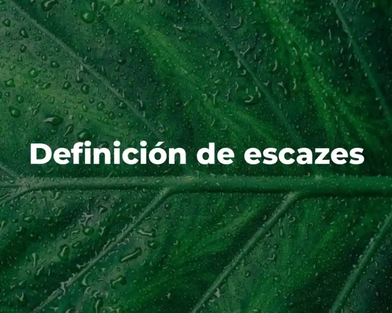 Definición de escazes