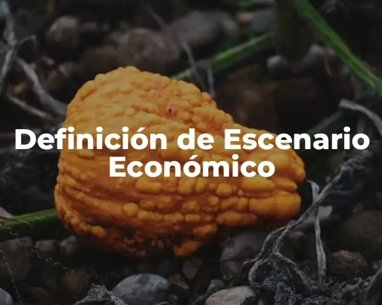Definición de Escenario Económico