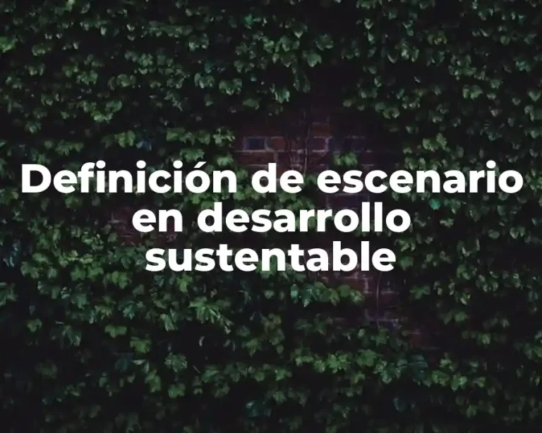 Definición de escenario en desarrollo sustentable