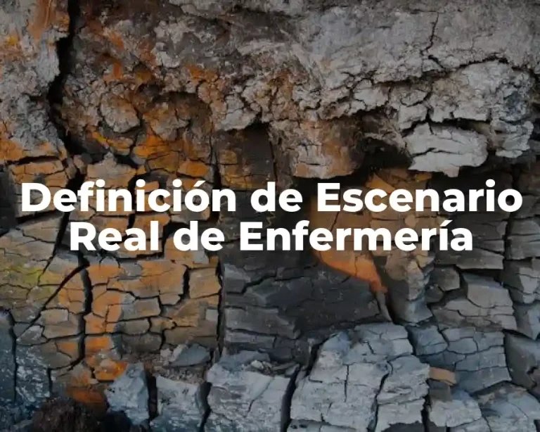 Definición de Escenario Real de Enfermería