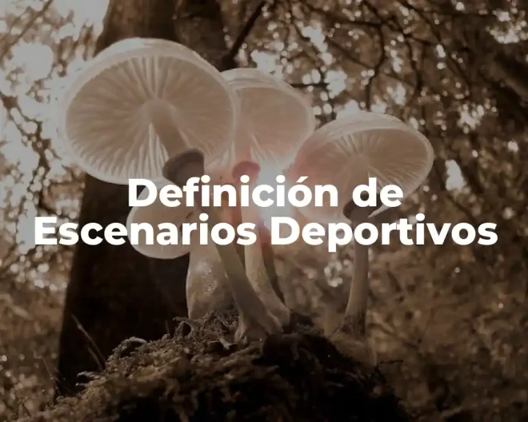Definición de Escenarios Deportivos
