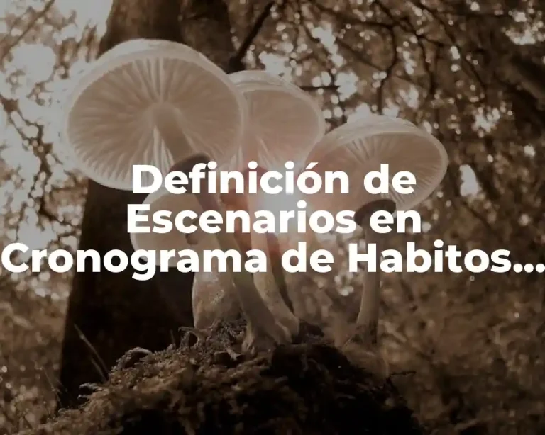 Definición de Escenarios en Cronograma de Habitos de Estudio