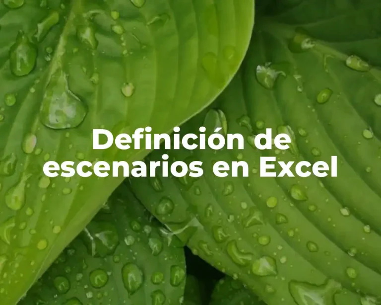 Definición de escenarios en Excel