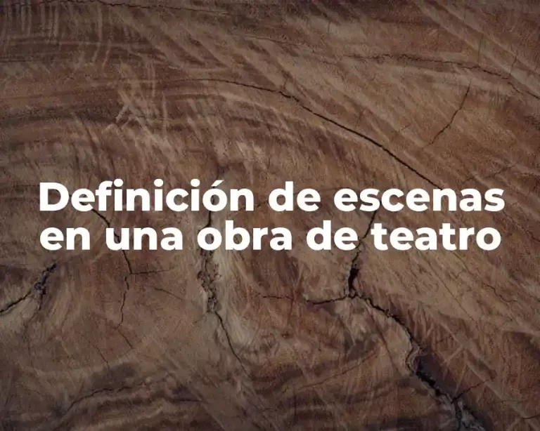 Definición de escenas en una obra de teatro