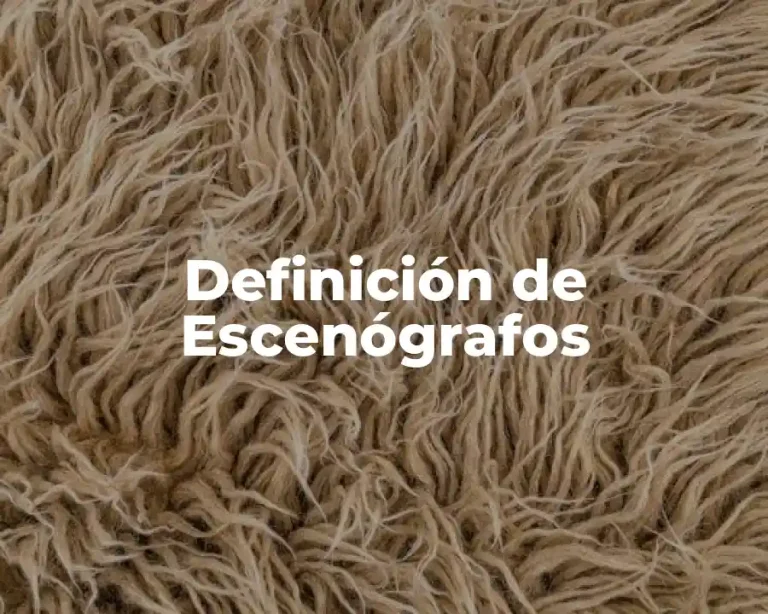 Definición de Escenógrafos