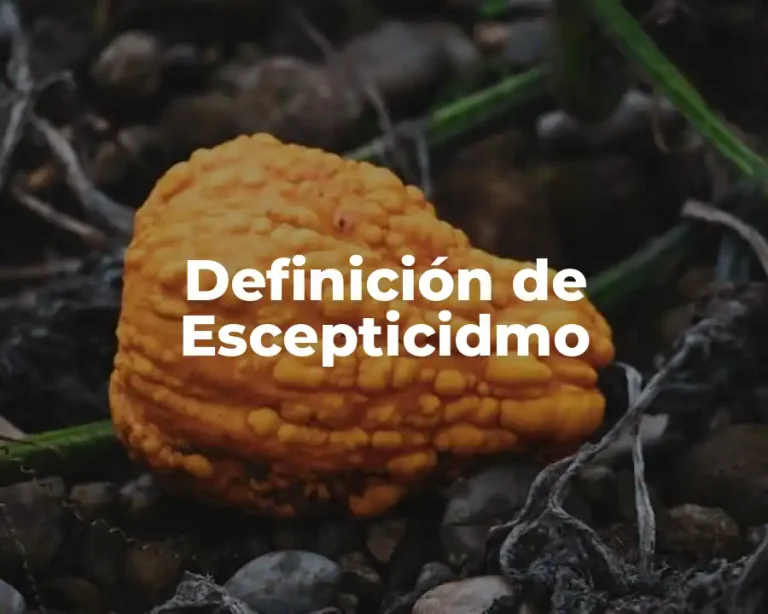 Definición de Escepticidmo