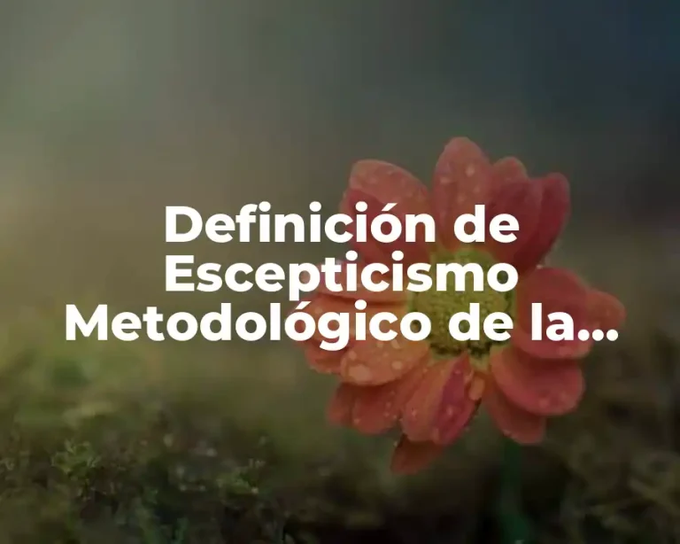 Definición de Escepticismo Metodológico de la Investigación