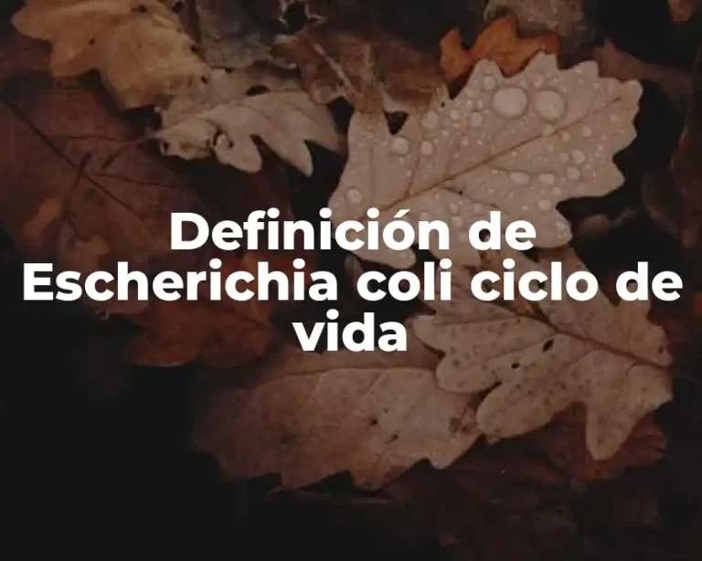 Definición de Escherichia coli ciclo de vida