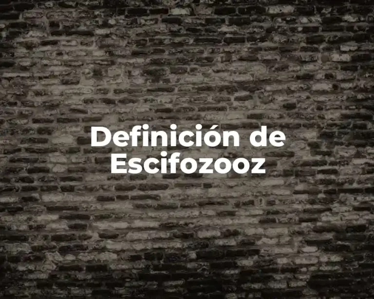 Definición de Escifozooz