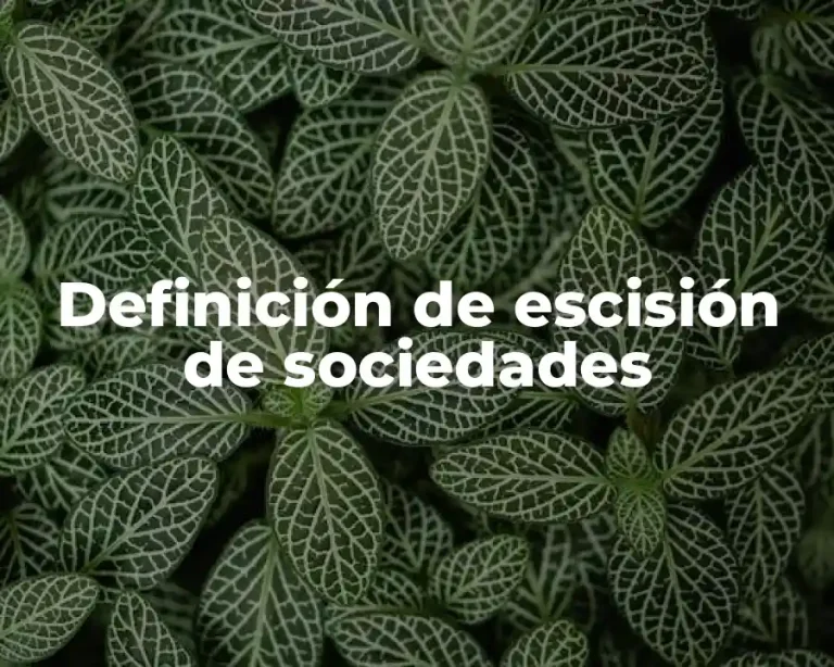 Definición de escisión de sociedades