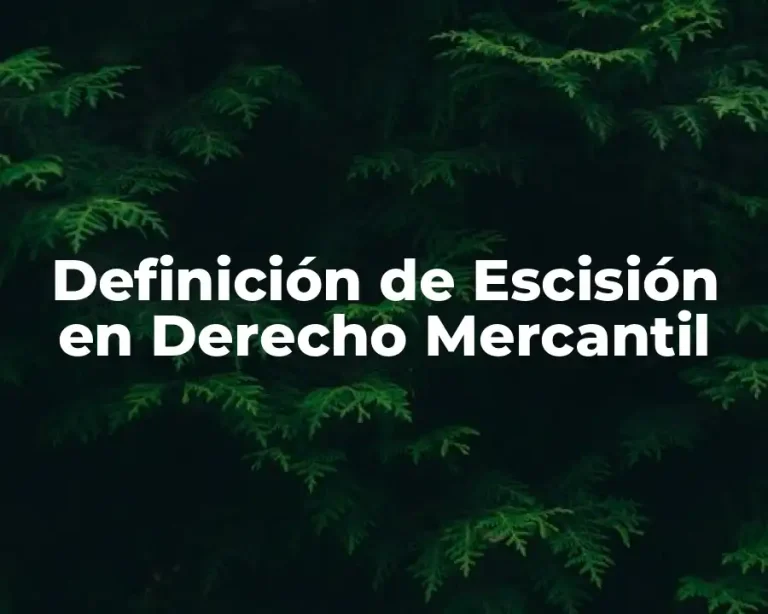 Definición de Escisión en Derecho Mercantil