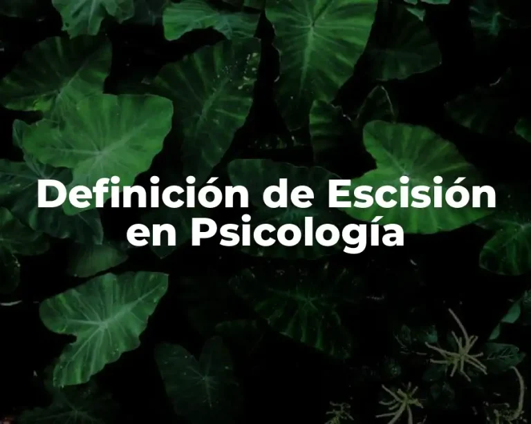 Definición de Escisión en Psicología