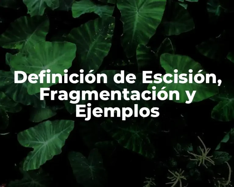 Definición de Escisión, Fragmentación y Ejemplos