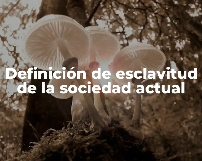 Definición de esclavitud de la sociedad actual