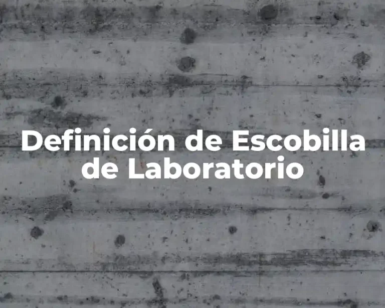 Definición de Escobilla de Laboratorio