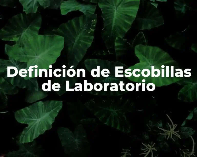 Definición de Escobillas de Laboratorio